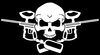 Paint Ball Skull Image